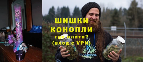 индика Алагир